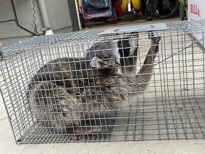 Hackensack pest control